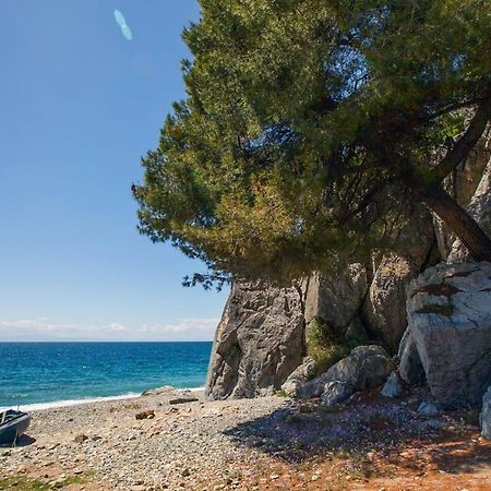 Comfortable Apartment Near The Central Beach Неа-Скиони Экстерьер фото